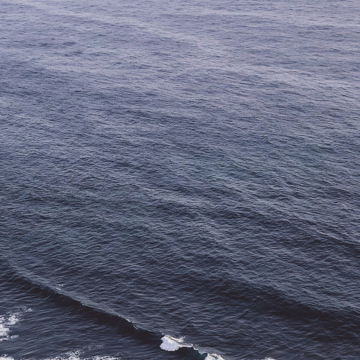 WE CAN OVERTAKE WITH&nbsp;US