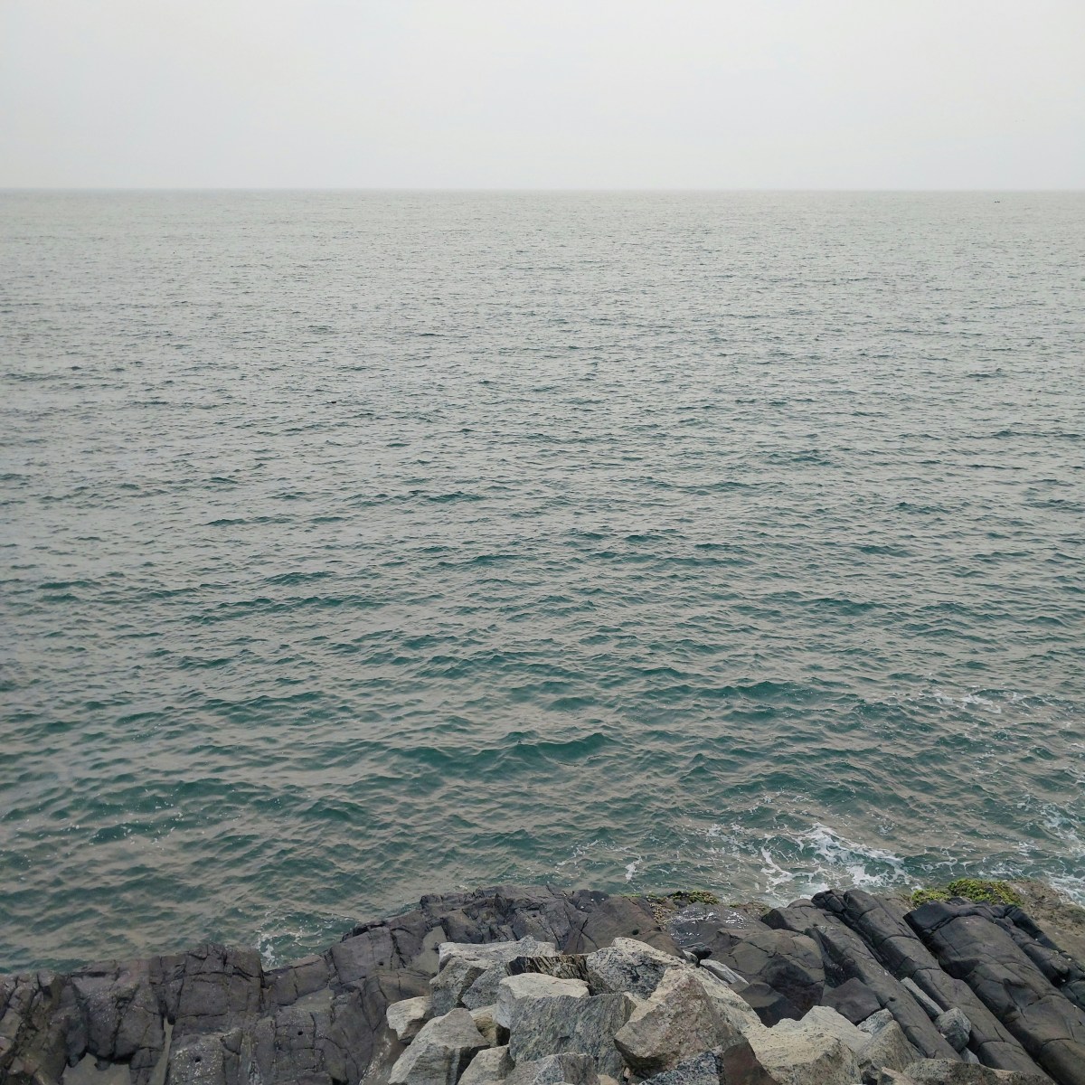 WE ARE GOING TO FEED PEOPLE&nbsp;AMEN