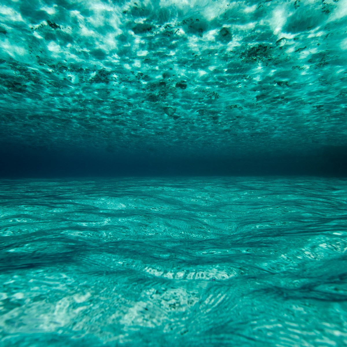 WE KNOW EVERYTHING / YOU KNOW&nbsp;NOW