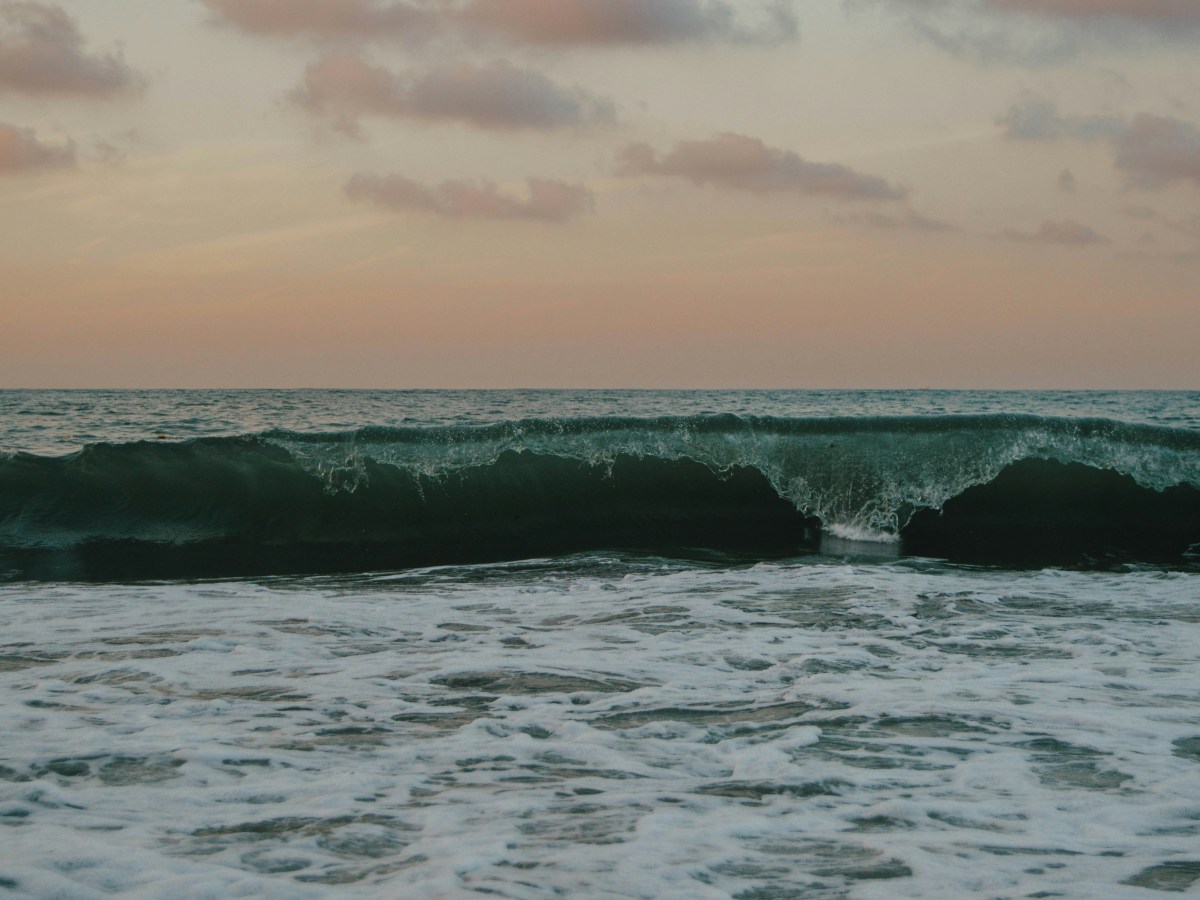 IT IS ME THEY&nbsp;WANT