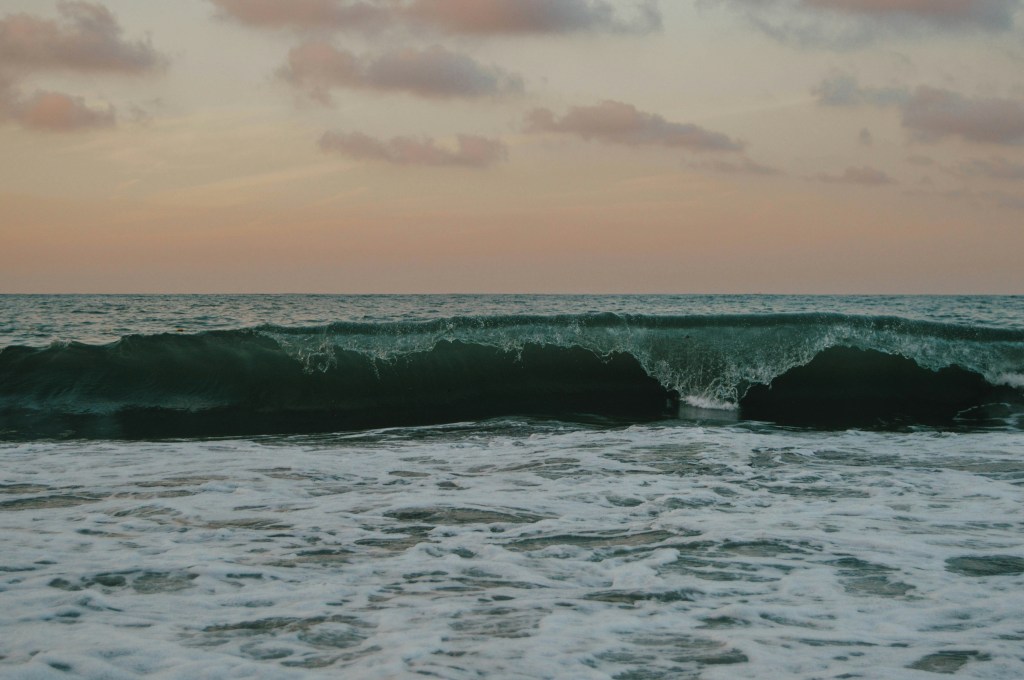 IT IS ME THEY&nbsp;WANT