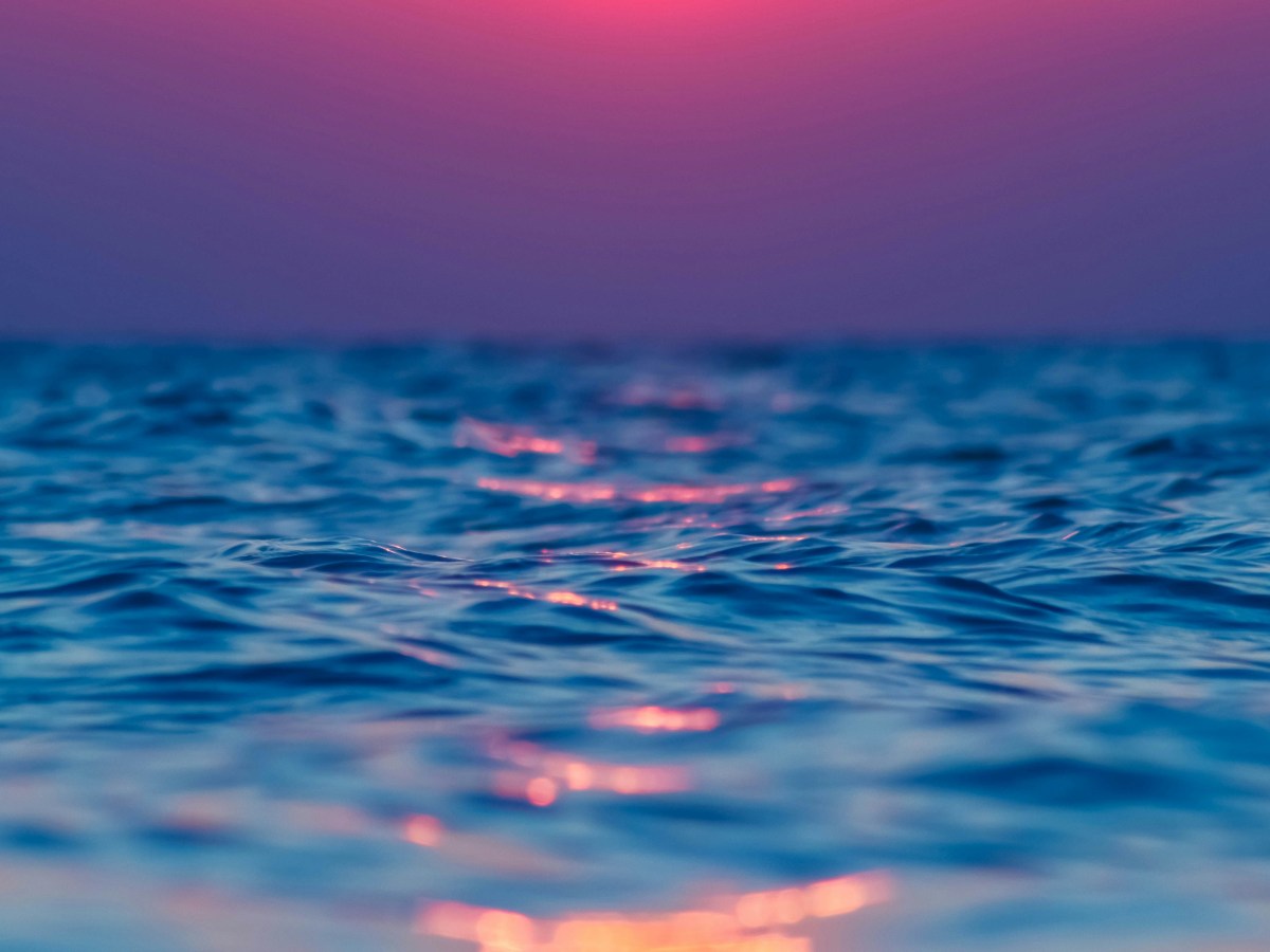 MY JOY IS SERVING OTHERS / MY LOVE IS FOR US / I AM FOR&nbsp;US