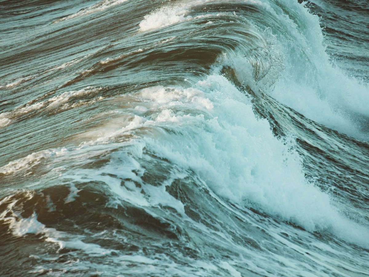 WE HAVE AN&nbsp;ANSWER