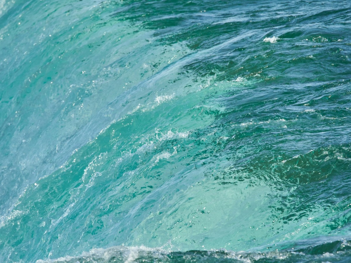 NOW WE ARE ONE MIND FOR&nbsp;HER